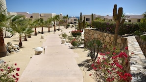 Un camino bordeado de palmeras y cactus que lleva a un edificio con muro de piedra y vista al mar.