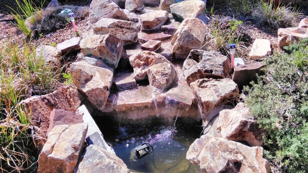 Jardín rocoso con fuente de agua y diversas plantas.