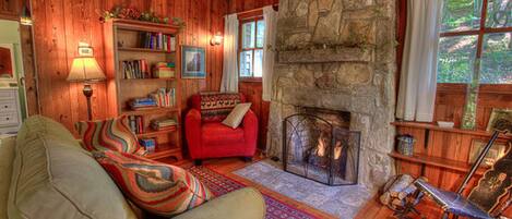 TV connectée, cheminée, livres, chaîne hi-fi