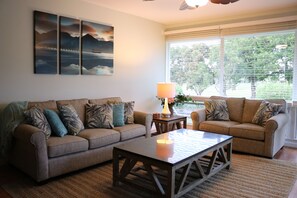 Älytelevisio, DVD-soitin, kirjoja, videokirjasto