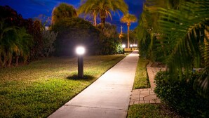 Un sendero nocturno bordeado de exuberante vegetación y palmeras, que conduce a un edificio con ventanas iluminadas.