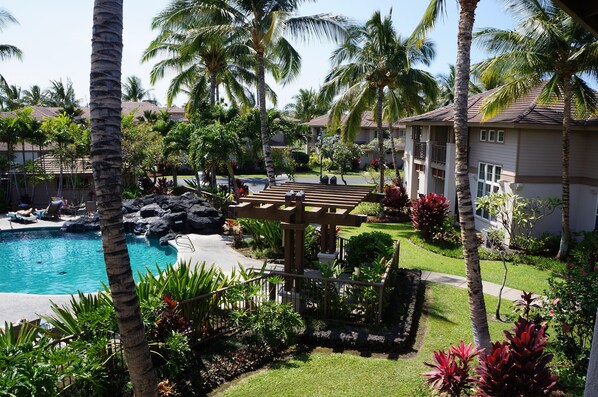 Un resort con piscina, palmeras y un jardín bien cuidado.