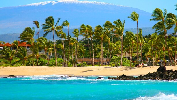 A beach with palm trees, ocean waves, and a mountain in the background.