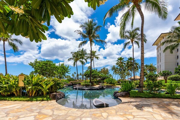 A resort pool area with palm trees, a clear sky, and a warning sign.