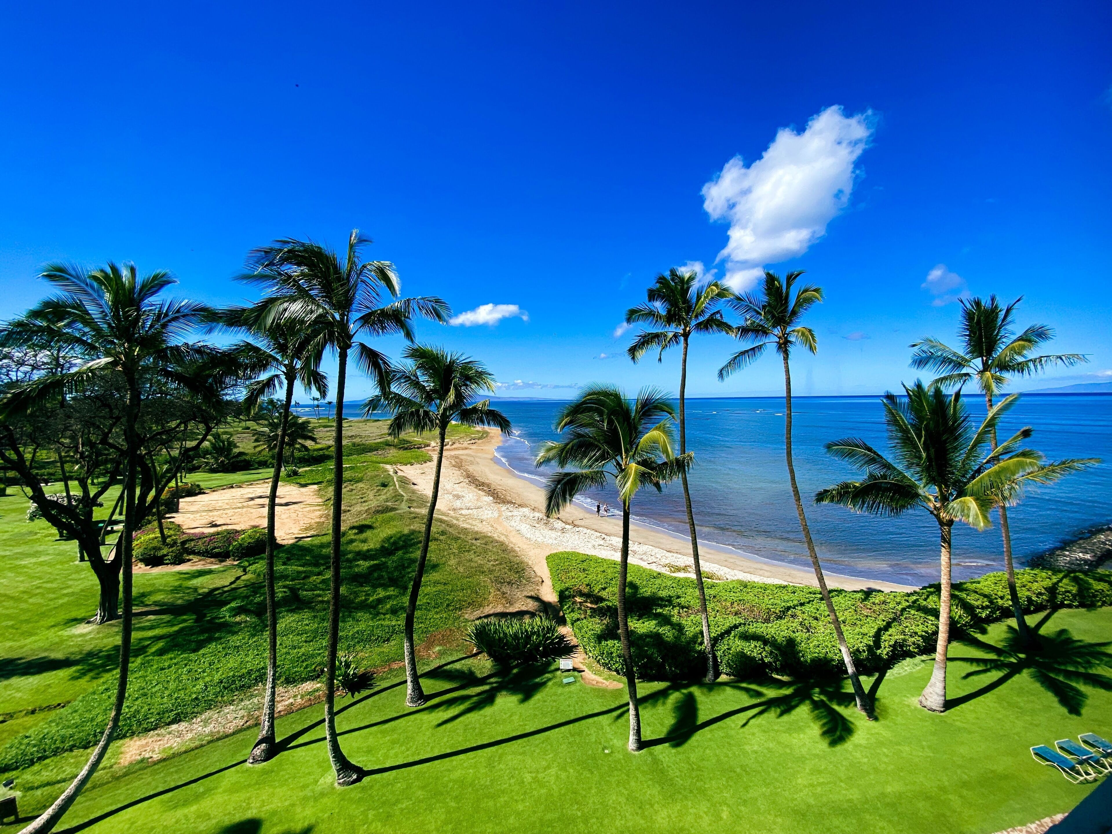 On the beach, sun loungers, beach towels