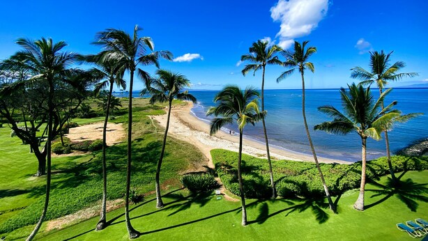 A tropical beach resort with palm trees, a sandy path, and a view of the ocean. - Serene Ocean-Front Condo at Menehune Shores - Unit 520 - Steps from the Ocean! (Kihei)
