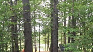 A forested area with a gravel path leading to a small cabin. - The Lily Pad at Loon Lake near Gore Mountain (Chestertown)