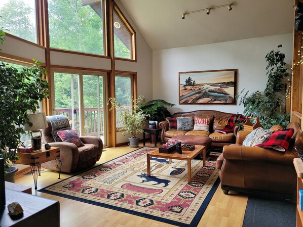 Smart TV, fireplace, DVD player, video library