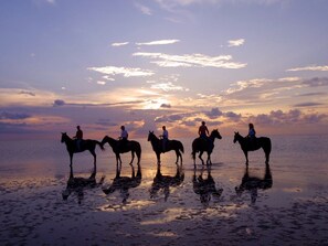 Silhouettes of people riding horses on a beach at sunset. - Direct Beachfront Modern Spacious Corner Unit w/Stunning Ocean Views Sleeps 10  (South Padre Island)