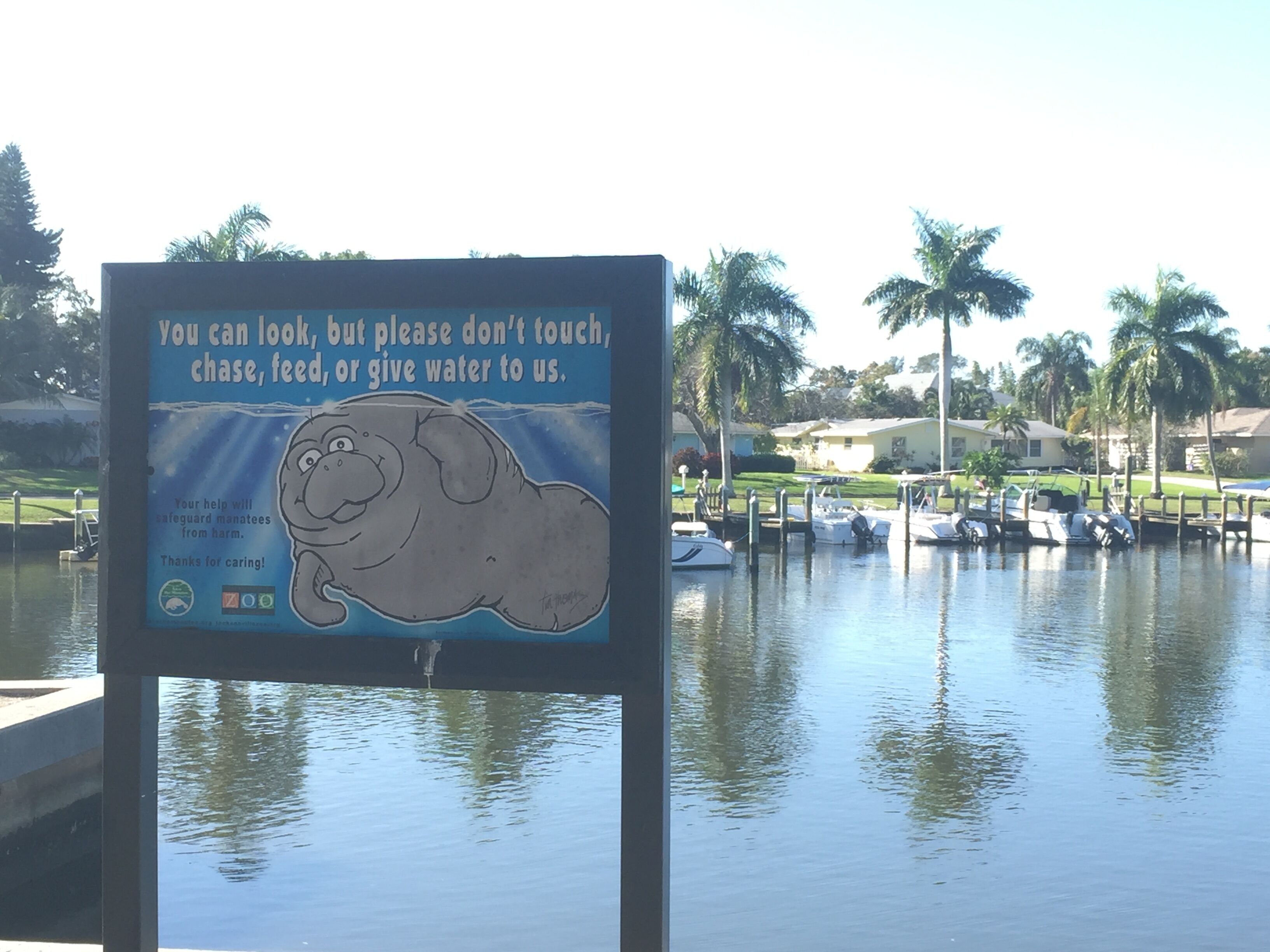 Letrero con un elefante caricaturizado y texto que indica no tocar, perseguir, alimentar ni dar agua a las manatíes.