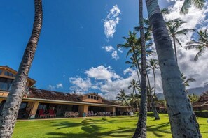 Um hotel com um gramado extenso, palmeiras e um céu azul límpido.