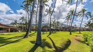 A resort with palm trees, a well-maintained lawn, and buildings with a tropical architectural style.