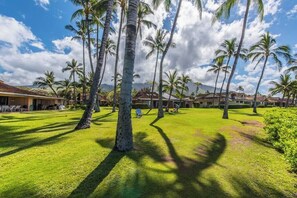 A resort with palm trees, a well-maintained lawn, and buildings with a tropical architectural style.