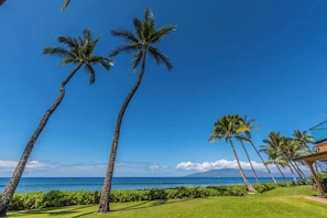 A tropical landscape with palm trees, a clear blue sky, and a view of the ocean.
