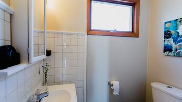 Ducha, secador de pelo, toallas, jabón