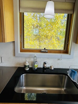 Interior - woodworkers cottage/retreat (Driggs)