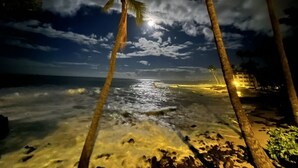 A beach scene with palm trees and a view of the ocean under a cloudy sky.