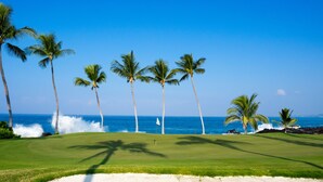 A golf course with a clear view of the ocean and palm trees.
