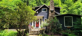 Serene Mountain Cottage on banks of McCullen Run Stream