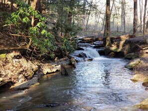 A forest stream with rocks and trees. - Serene Mountain Cottage on banks of McCullen Run Stream (Ligonier)