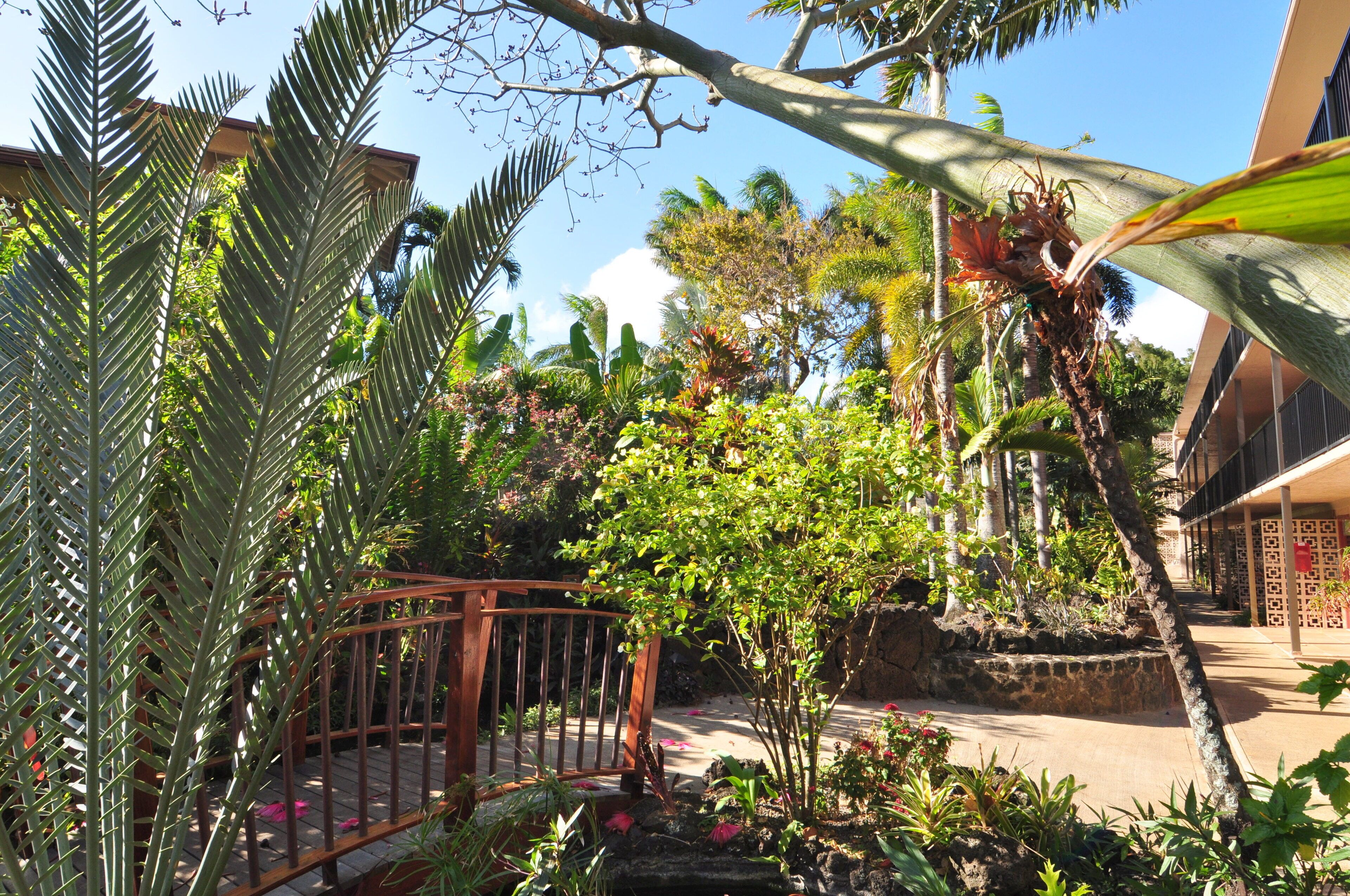 Un giardino tropicale con un’area in legno, diverse piante e un muro in pietra.