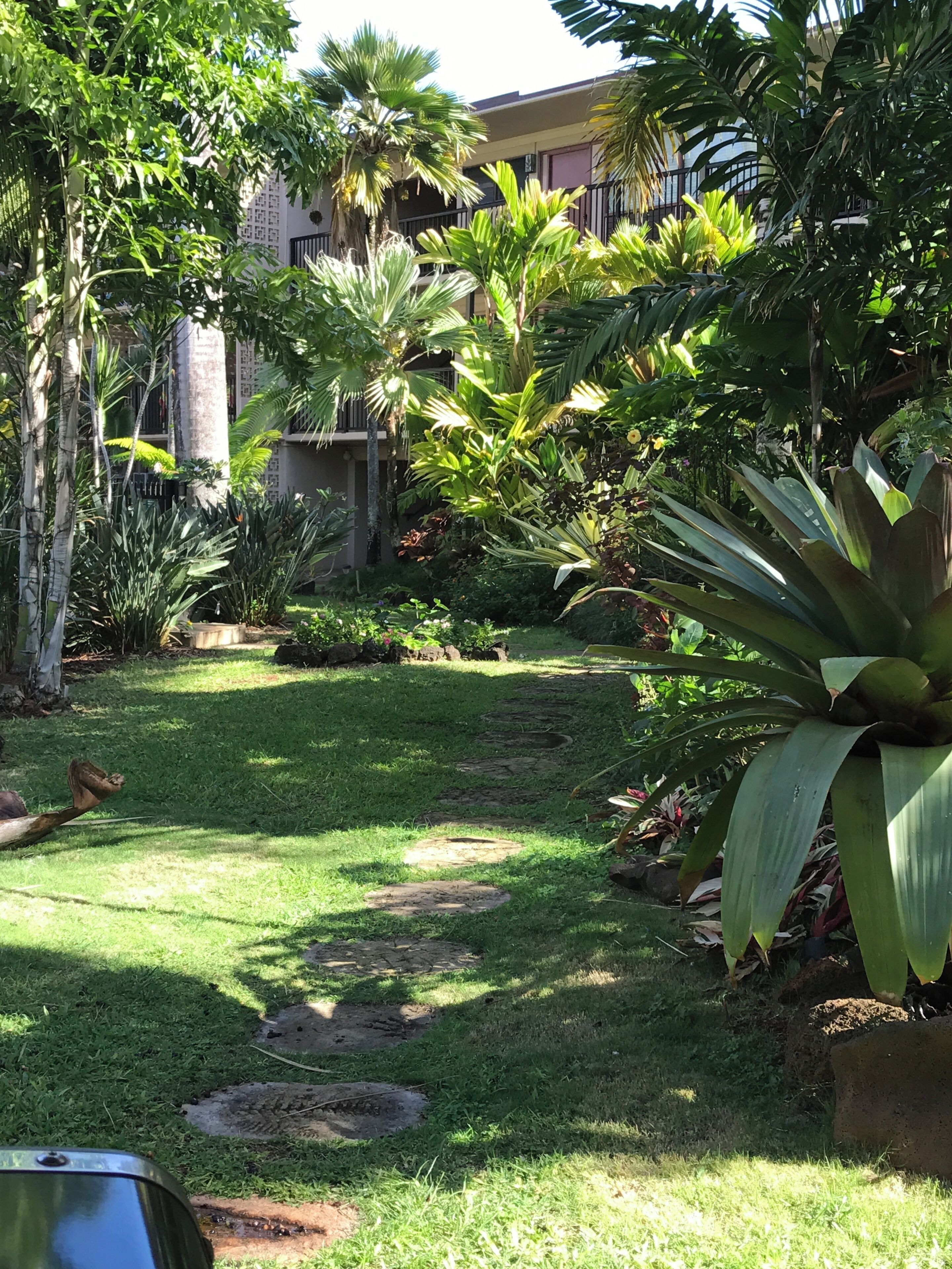 Ein Garten mit einem Weg, verschiedenen Pflanzen und einem Gebäude im Hintergrund.