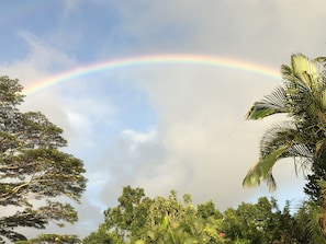 A natural landscape with a rainbow arching across a cloudy sky, surrounded by dense foliage and palm trees.