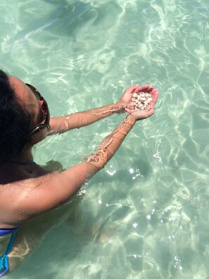 حمّام سباحة مُدفَّأ