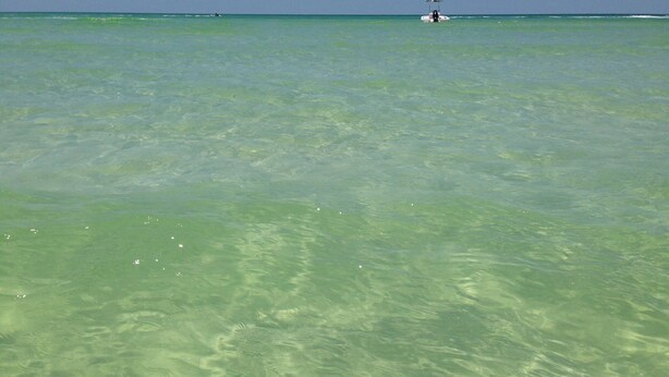 Vista despejada de una playa con aguas tranquilas y un barco a lo lejos.