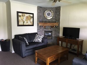 Smart TV, fireplace, DVD player, books