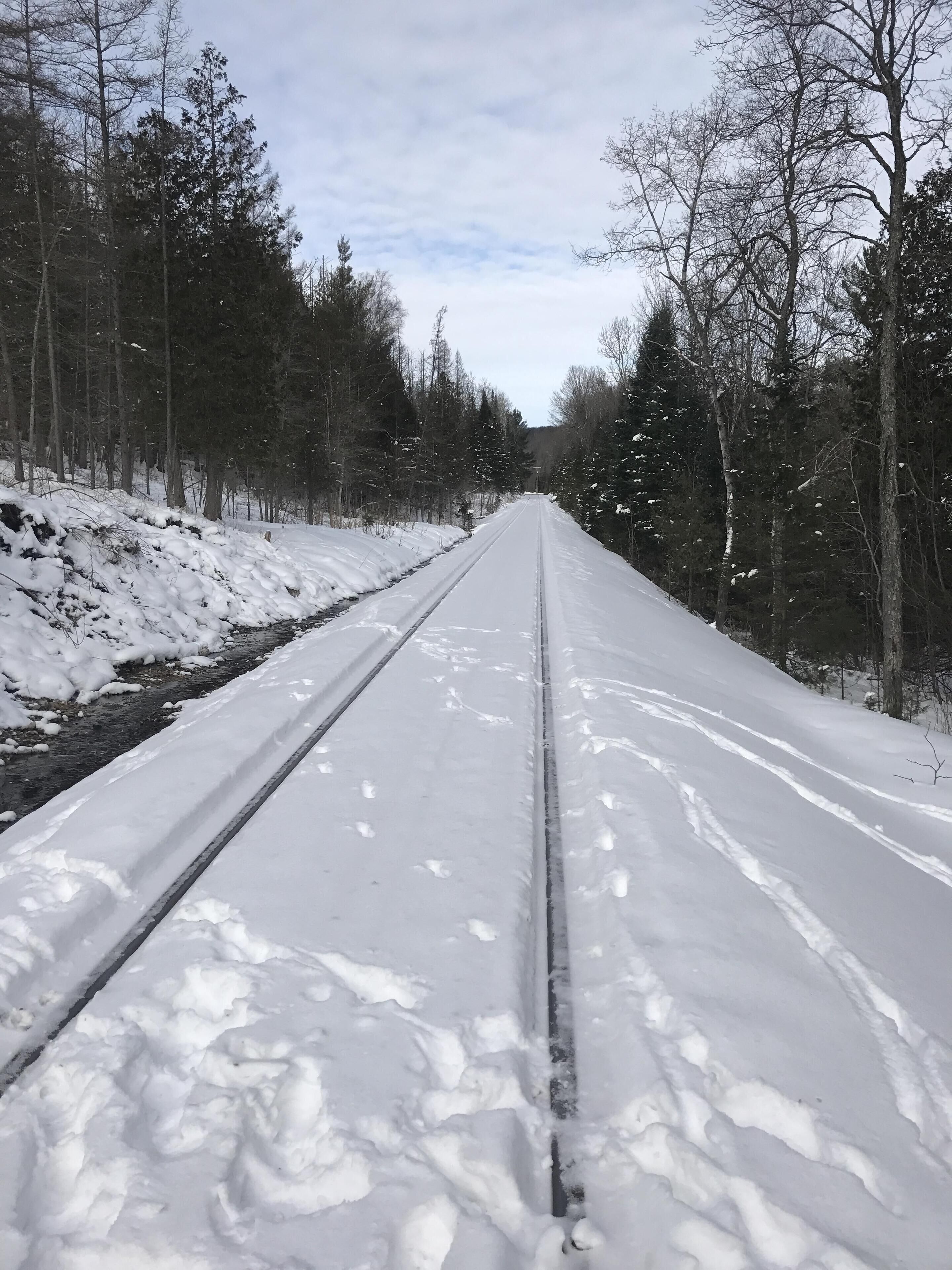 A snow-covered railway track with trees on either side.