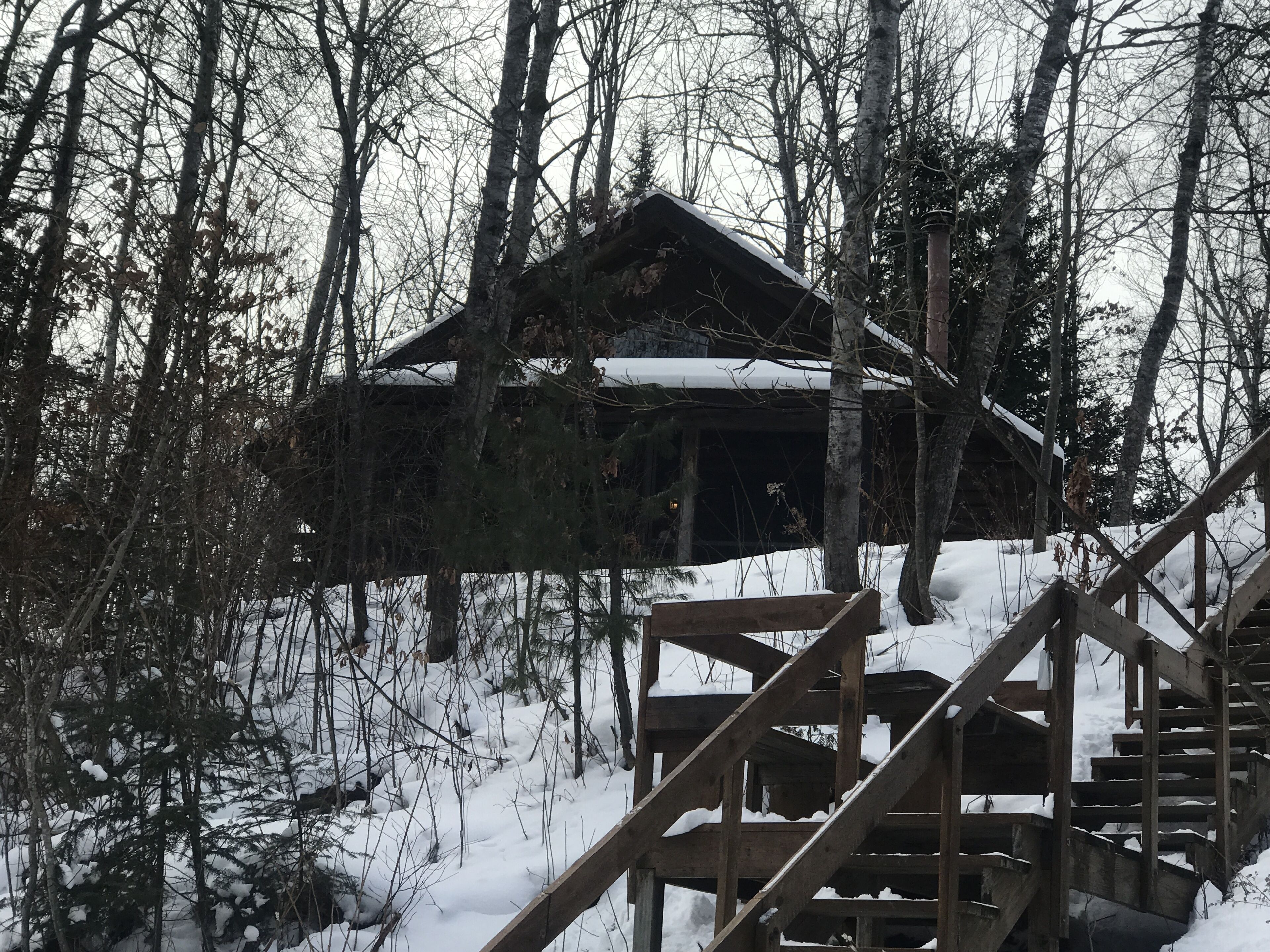 Une cabane en bois, dont le toit est recouvert de neige, entourée d’arbres, avec un escalier en bois menant à l’entrée.