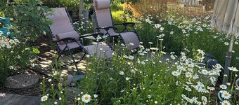 Sleep In Comfort-Tipi Style, Under The Stars