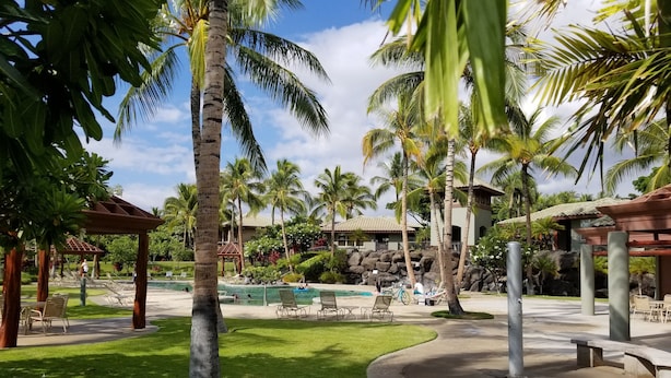 A resort pool area with palm trees, lounge chairs, and a gazebo. - Welcome to 1604, Our Little Piece of Paradise! (Waimea)