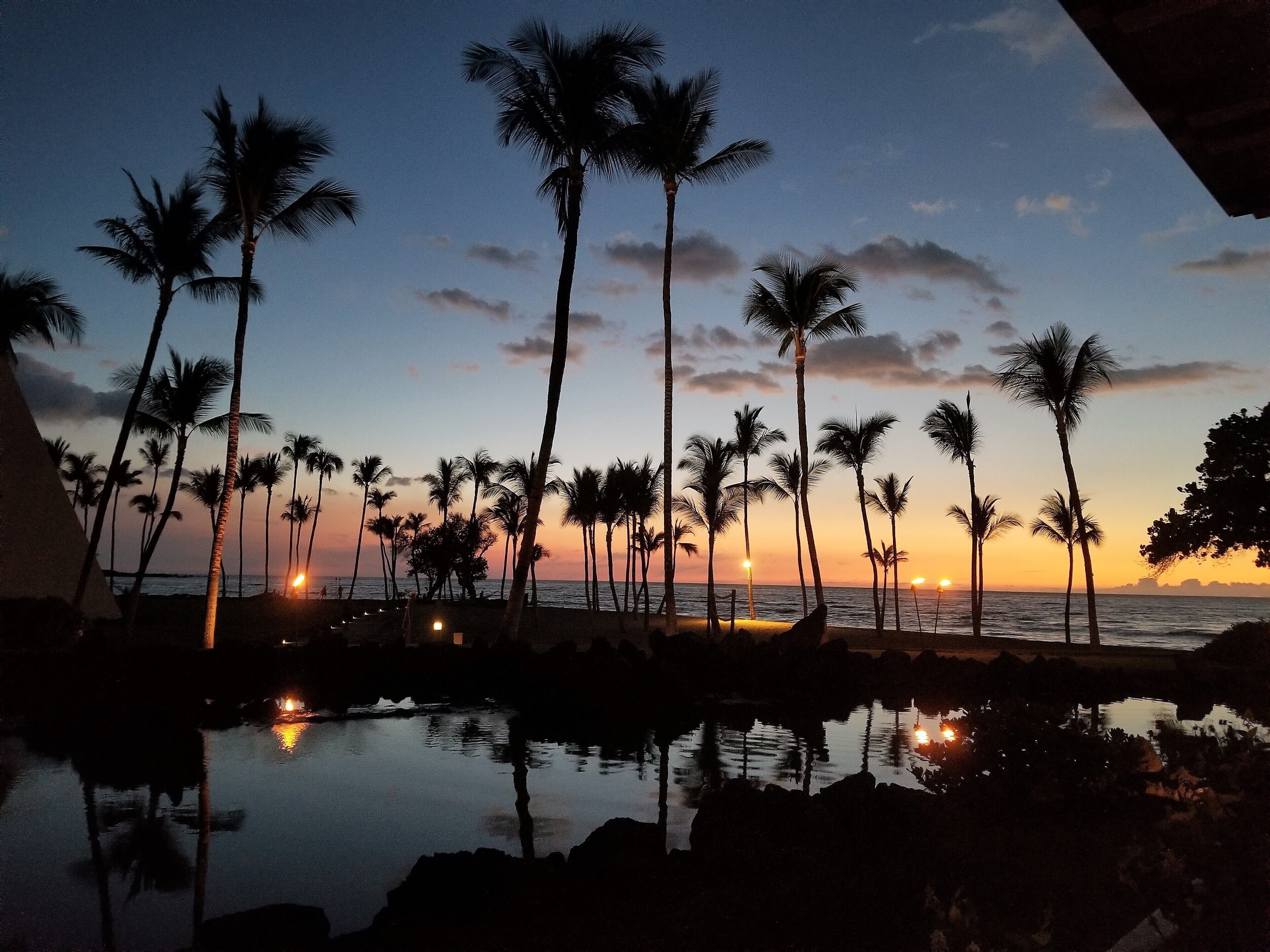 Une scène de plage au coucher du soleil, avec des palmiers et une mer calme.