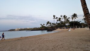 A beach with palm trees, a sandy shore, and a calm sea. - Welcome to 1604, Our Little Piece of Paradise! (Waimea)