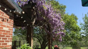 Edificio de ladrillo con una pérgola cubierta de enredaderas de glicinia morada.