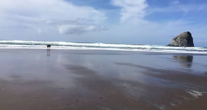 Hermosa casa de familia, Wifi, Animales domésticos bienvenidos, 5 minutos a pie de la playa. 13 plazas