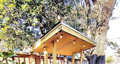 Lemmikkiystävällisiä Historiallinen Cottage Bungalow Downtown Wilmington lähellä rantaa