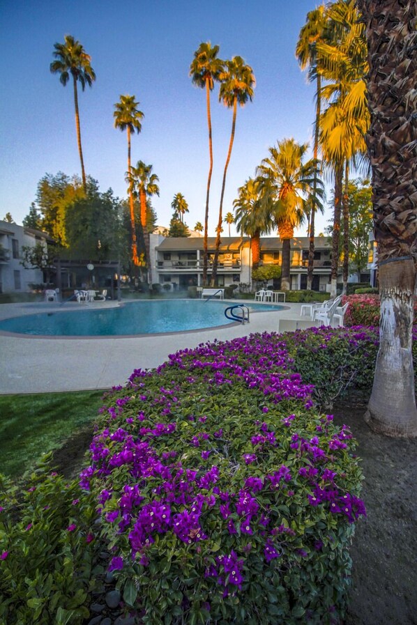 Outdoor pool, a heated pool