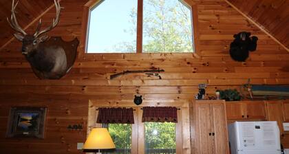 Family-friendly ;Avg. nightly rate $99; 5 miles from Soaky Mtn. Waterpark