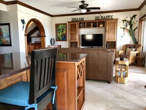 Smart TV, DVD player, video library