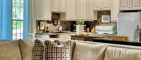 TV, fireplace, DVD player, books