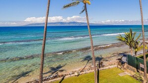A coastal view with clear turquoise waters, palm trees, and a distant mountain range.