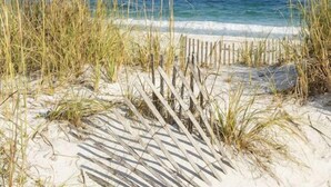 A sandy beach with a wooden fence and tall grasses. - Walk to the Beach and Downtown Restaurants, Bars, and Shops! (Ocean Springs)