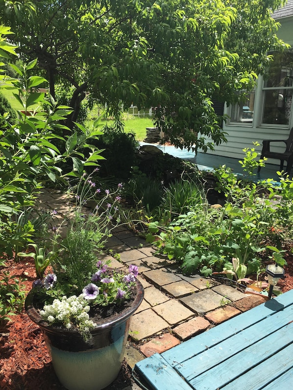 Ulkoalueet