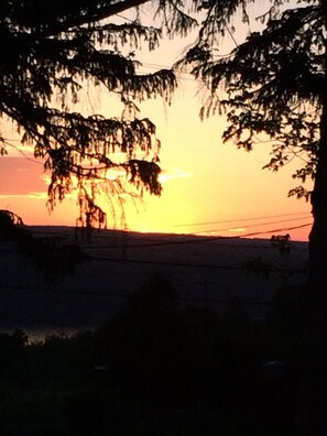 A sunset with silhouettes of trees and power lines against a bright sky. - Late summer on the Wine Trail is the best!   Everything is happening now. (Burdett)