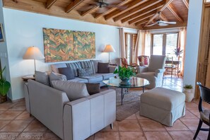 Smart TV, DVD player, books, stereo