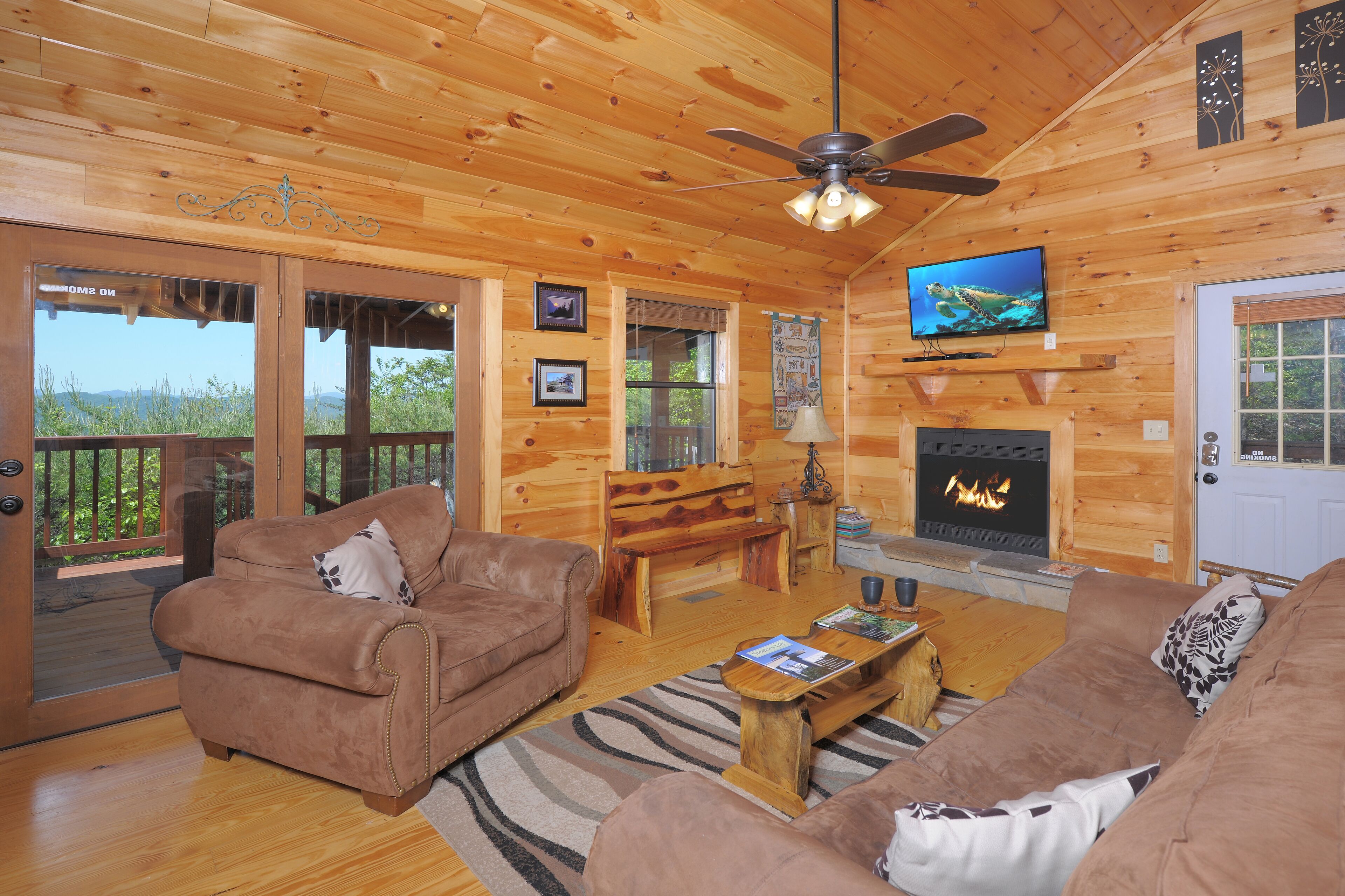 Fladskærms-tv, pejs, bordfodbold