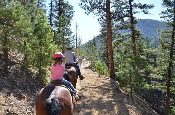 Un grupo de personas montando a caballo por un sendero de tierra rodeado de pinos.